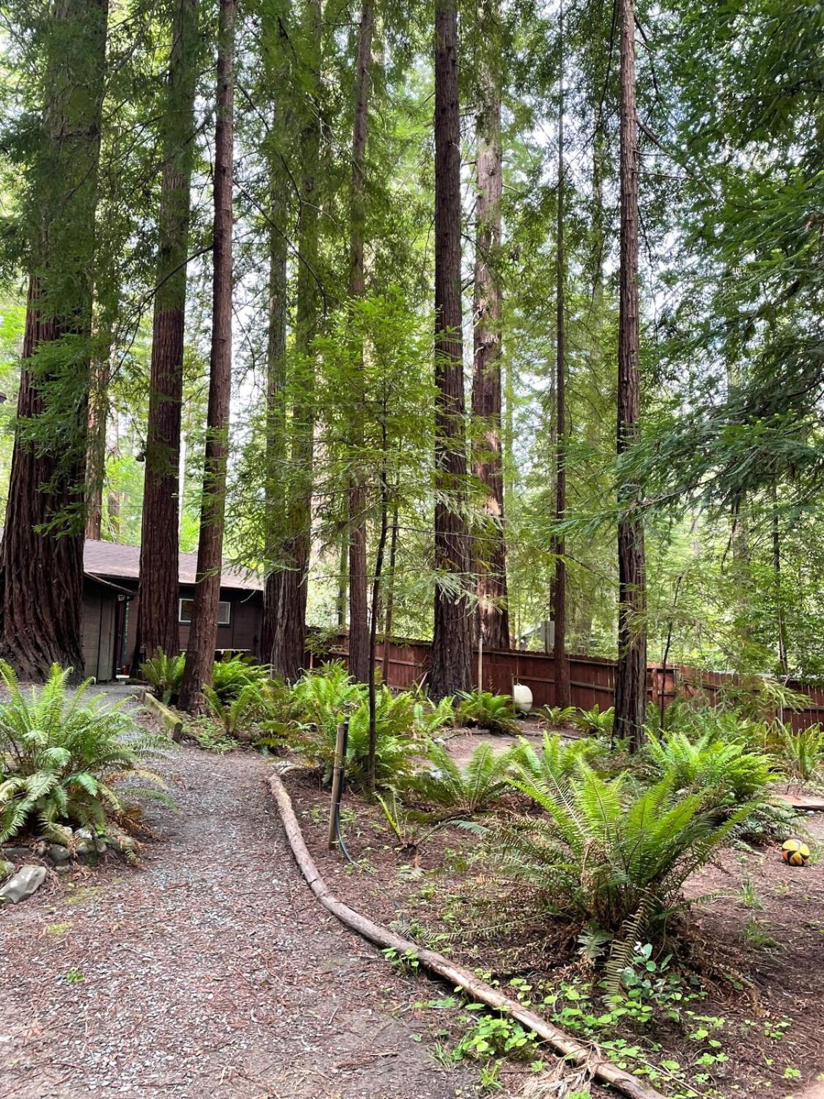The Groves At Redway Beach - Studio Exterior photo